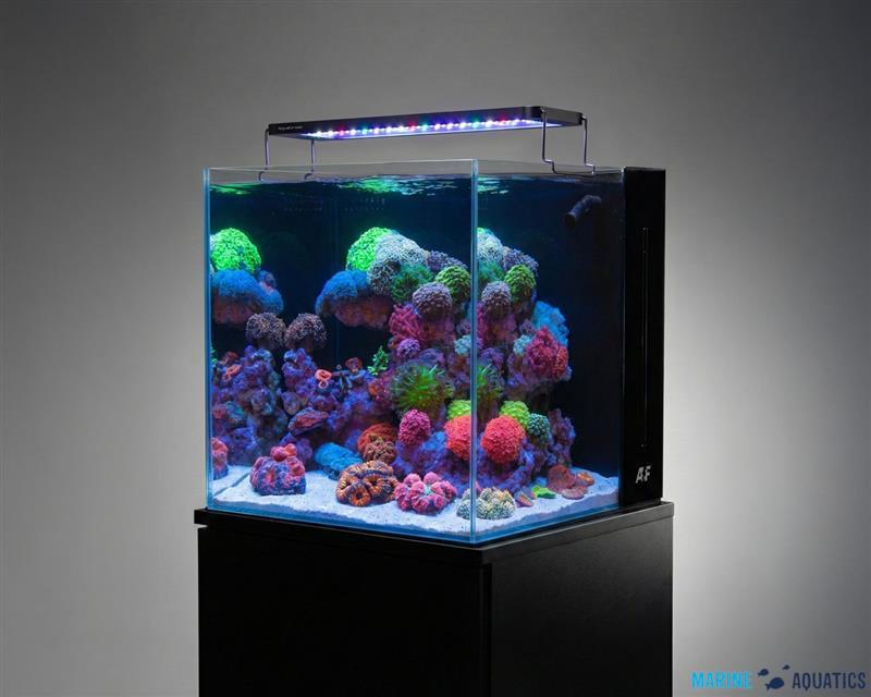 AF NANO tank + LED osvětlení a Startovací sada (91L)