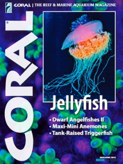 Časopis CORAL - 