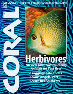 Časopis CORAL - 