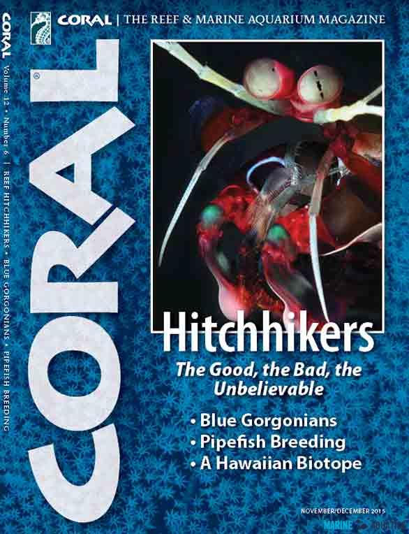 Časopis CORAL - 