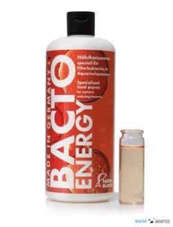 Bacto Energy (250ml)