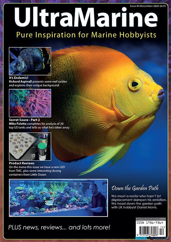 UltraMarine no.85 - časopis pro mořské akvaristy (DEC-JAN´21)