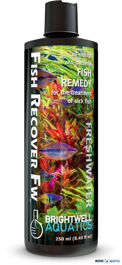 Fish Recover FW - proti bakteriálním infekcím sladkovodních ryb (500ml)