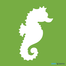 AF Purify pond - fish treatment and recovery (500ml)