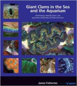 Giant Clams in the sea & aquarium