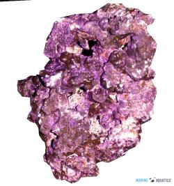 Real Reef Rocks 4G  - velké kameny, 25kg