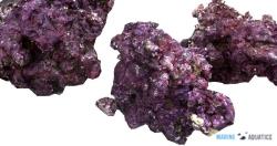 Real Reef Rocks 4G - výběr/Mix kamenů všech velikostí, 1kg